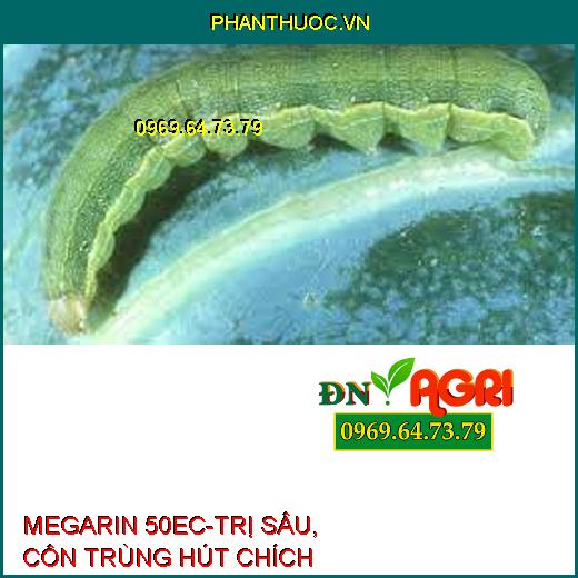 THUỐC TRỪ SÂU MEGARIN 50EC – ĐẶC TRỊ RẦY, BỌ XÍT MUỖI, SÂU XANH