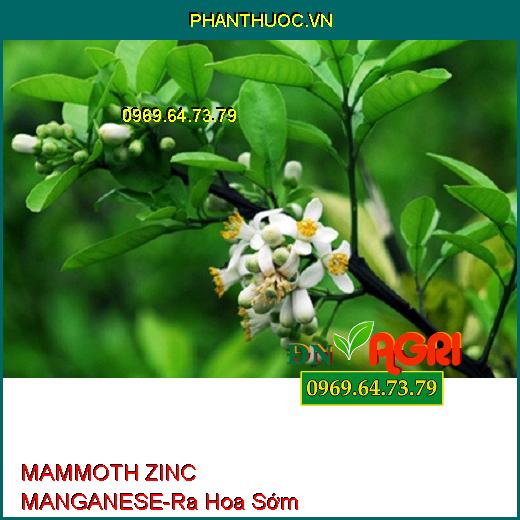 PHÂN BÓN MAMMOTH ZINC MANGANESE –Kích Rễ Phát Triễn, Ra Hoa Sớm, Tạo Mầm Nhánh