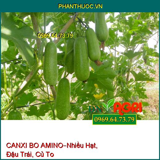 PHÂN BÓN VI LƯỢNG CANXI BO AMINO –Tạo Nhiều Hạt, Đậu Trái, Củ To Nhiều Tinh Bột