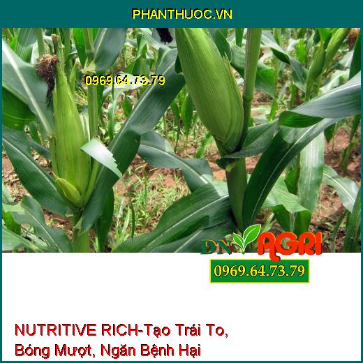 NUTRITIVE RICH –Rễ Cực Mạnh, Tạo Trái To, Bóng Mượt, Củ Suông Đều, Ngăn Bệnh Hại