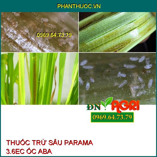 THUỐC TRỪ SÂU PARAMA 3.6EC ỐC ABA – Đặc Trị Bọ Trĩ, Nhện Gié, Rầy Nâu, Sâu Cuốn Lá