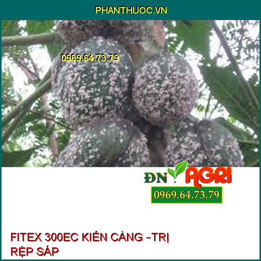 FITEX 300EC KIẾN CÀNG – ĐẶC TRỊ RỆP SÁP TRÊN CÀ PHÊ, RỆP MUỘI, SÂU CUỐN LÁ