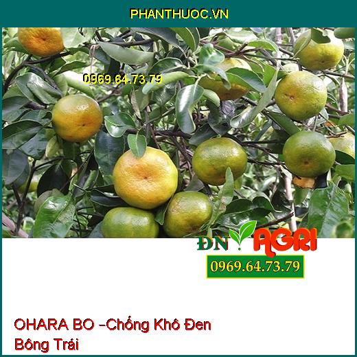 PHÂN BÓN VI LƯỢNG OHARA BO –Chống Khô Đen Bông Trái, Tăng Hàm Lượng Tinh Bột