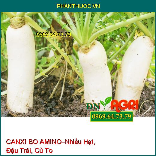 PHÂN BÓN VI LƯỢNG CANXI BO AMINO –Tạo Nhiều Hạt, Đậu Trái, Củ To Nhiều Tinh Bột