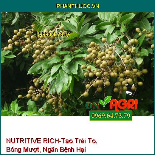 NUTRITIVE RICH –Rễ Cực Mạnh, Tạo Trái To, Bóng Mượt, Củ Suông Đều, Ngăn Bệnh Hại