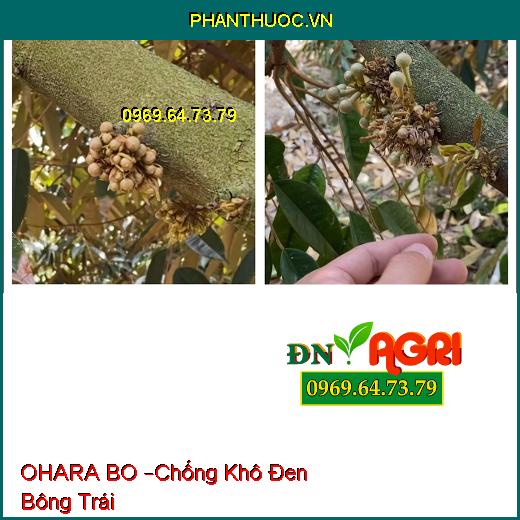 PHÂN BÓN VI LƯỢNG OHARA BO –Chống Khô Đen Bông Trái, Tăng Hàm Lượng Tinh Bột