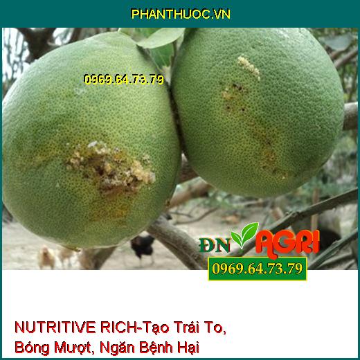 NUTRITIVE RICH –Rễ Cực Mạnh, Tạo Trái To, Bóng Mượt, Củ Suông Đều, Ngăn Bệnh Hại