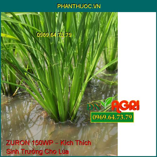 ZURON 150WP – Kích Thích Sinh Trưởng Cho Lúa, Chống Đổ Ngã, Tăng Tỷ Lệ Hạt Chắc