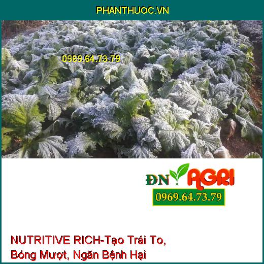 NUTRITIVE RICH –Rễ Cực Mạnh, Tạo Trái To, Bóng Mượt, Củ Suông Đều, Ngăn Bệnh Hại