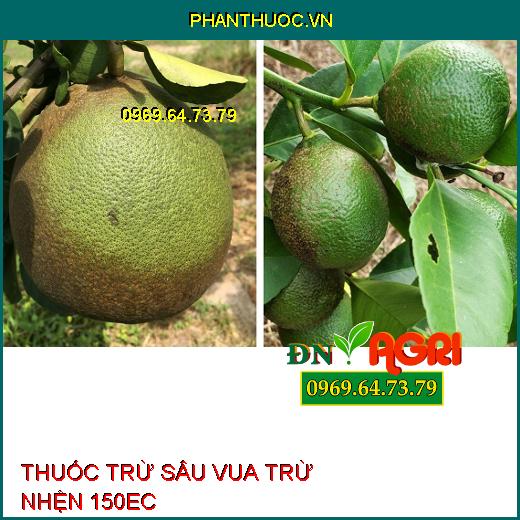 THUỐC TRỪ SÂU VUA TRỪ NHỆN 150EC – Đặc Trị Nhện Đỏ, Nhện Vàng, Nhện Trắng Trên Cây Trồng