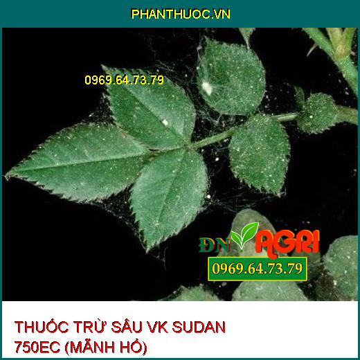 THUỐC TRỪ SÂU VK SUDAN 750EC (MÃNH HỔ) – Đặc Trị Sâu Cuốn Lá, Nhện Gié, Rầy Nâu Hại Lúa, Sâu Xanh Da Láng Hại Đậu Tương