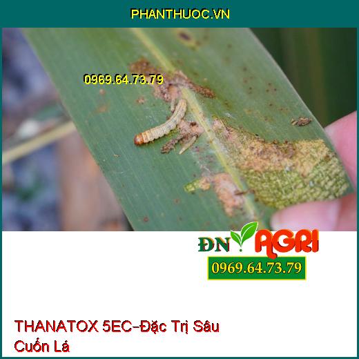 THUỐC TRỪ SÂU THANATOX 5EC – Đặc Trị Sâu Cuốn Lá Trên Lúa, Diệt Cả Trứng Và Ấu Trùng