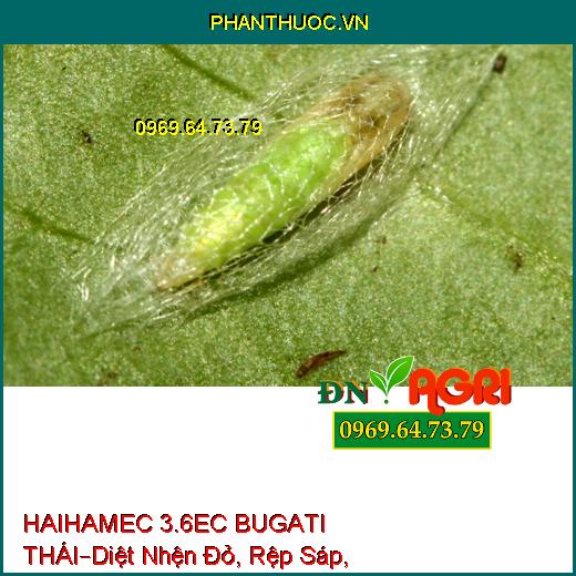 THUỐC TRỪ SÂU HAIHAMEC 3.6EC BUGATI THÁI–Diệt Nhện Đỏ, Rệp Sáp, Sâu Tơ, Sâu Xanh