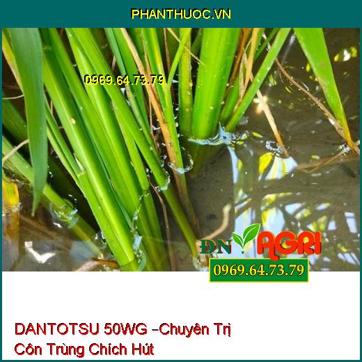 DANTOTSU 50WG –Chuyên Trị Côn Trùng Chích Hút, Hiệu Lực Nhanh Kéo Dài