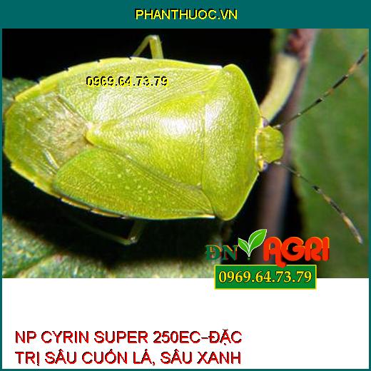 NP CYRIN SUPER 250EC – ĐẶC TRỊ SÂU CUỐN LÁ TRÊN LÚA, SÂU XANH TRÊN ĐẬU TƯƠNG