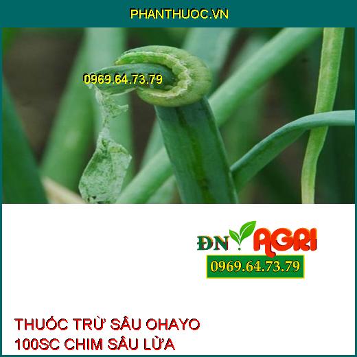 THUỐC TRỪ SÂU OHAYO 100SC CHIM SÂU LỬA – Đặc Trị Sâu Cuốn Lá, Nhện Gié, Bù Lạch, Sâu Xanh