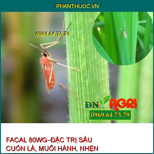 THUỐC TRỪ SÂU FACAL 80WG – Đặc Trị Sâu Cuốn Lá, Muỗi Hành, Nhện Gié, Bọ Trĩ Trên Lúa, Nhện Đỏ Trên Chè, Bọ Xít Muỗi Hại Điều, Rệp Sáp Hại Cà Phê