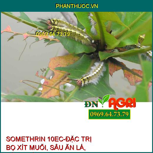 THUỐC TRỪ SÂU SOMETHRIN 10EC – Đặc Trị Bọ Xít Muỗi, Sâu Ăn Lá, Sùng Hà Các Loại Côn Trùng Chích Hút