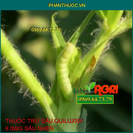 THUỐC TRỪ SÂU QUILUXNY 6.0WG SÂU NHỆN – Đặc Trị Sâu Tơ, Sâu Xanh Da Láng, Sâu Cuốn Lá