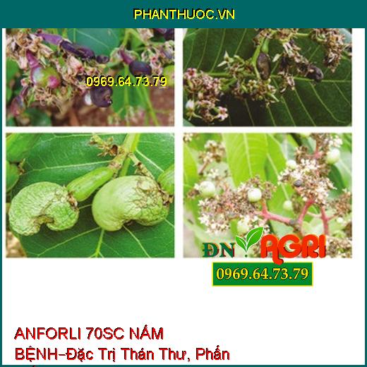 ANFORLI 70SC NẤM BỆNH–Đặc Trị Thán Thư, Phấn Trắng, Đạo Ôn, Lem Lép Hạt, Ghẻ Sẹo