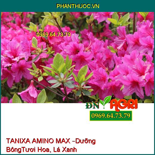 TANIXA AMINO MAX –Dưỡng Bông, Tươi Hoa, Chắc Củ, Lá Xanh Mướt, Đậu Trái