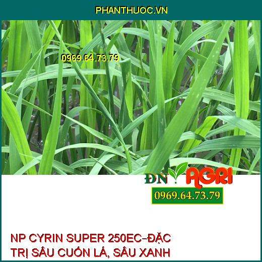 NP CYRIN SUPER 250EC – ĐẶC TRỊ SÂU CUỐN LÁ TRÊN LÚA, SÂU XANH TRÊN ĐẬU TƯƠNG