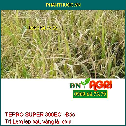 THUỐC TRỪ BỆNH HỢP TRÍ TEPRO SUPER 300EC –Đặc Trị Lem lép hạt, vàng lá, chín sớm