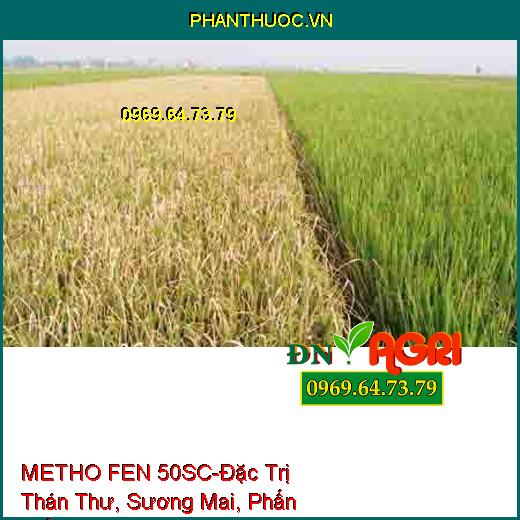 THUỐC TRỪ BỆNH METHO FEN 50SC-Đặc Trị Thán Thư, Sương Mai, Phấn Trắng, Vàng Lá