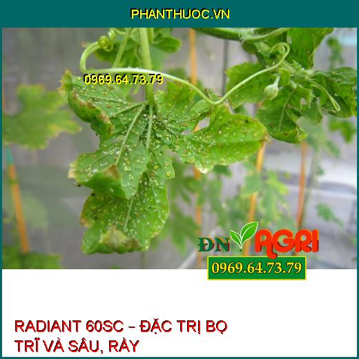 THUỐC TRỪ SÂU SINH HỌC RADIANT 60SC – Đặc Trị Bọ Trĩ Và Sâu, Rầy Khó Trị Trên Cây Trồng