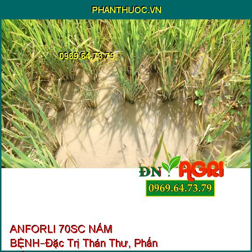 ANFORLI 70SC NẤM BỆNH–Đặc Trị Thán Thư, Phấn Trắng, Đạo Ôn, Lem Lép Hạt, Ghẻ Sẹo