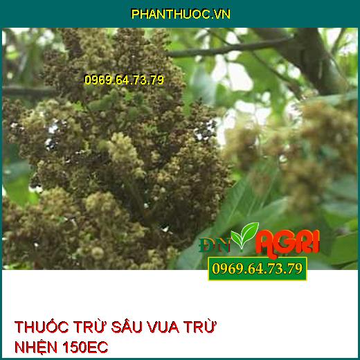 THUỐC TRỪ SÂU VUA TRỪ NHỆN 150EC – Đặc Trị Nhện Đỏ, Nhện Vàng, Nhện Trắng Trên Cây Trồng