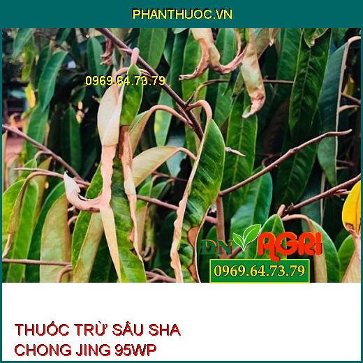 THUỐC TRỪ SÂU SHA CHONG JING 95WP- Đặc Trị Sâu Đục Thân, Rầy Xanh