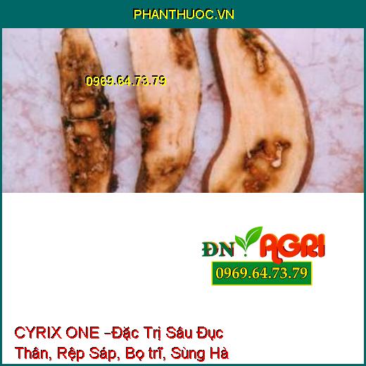 THUỐC TRỪ SÂU CYRIX ONE –Đặc Trị Sâu Đục Thân, Rệp Sáp, Bọ trĩ, Sùng Hà