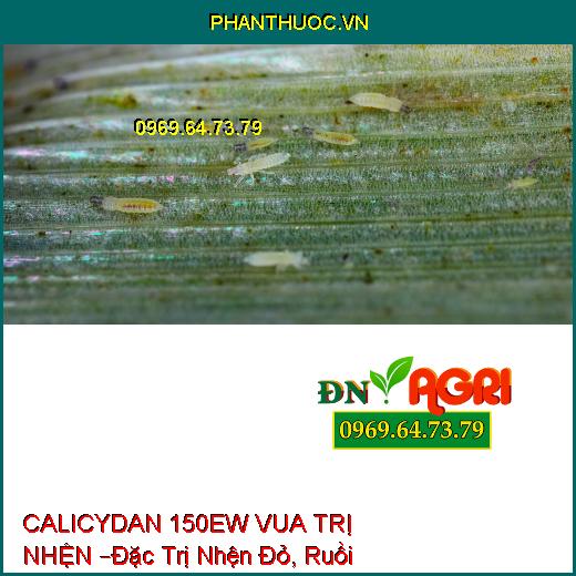 THUỐC TRỪ SÂU CALICYDAN 150EW VUA TRỊ NHỆN –Đặc Trị Sâu Chích Hút, Nhện Đỏ, Ruồi Vàng, Bọ Trĩ