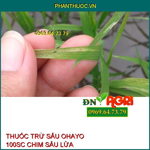 THUỐC TRỪ SÂU OHAYO 100SC CHIM SÂU LỬA – Đặc Trị Sâu Cuốn Lá, Nhện Gié, Bù Lạch, Sâu Xanh