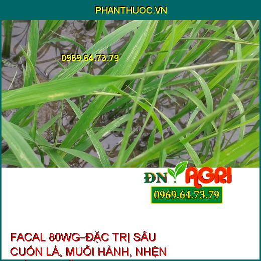 THUỐC TRỪ SÂU FACAL 80WG – Đặc Trị Sâu Cuốn Lá, Muỗi Hành, Nhện Gié, Bọ Trĩ Trên Lúa, Nhện Đỏ Trên Chè, Bọ Xít Muỗi Hại Điều, Rệp Sáp Hại Cà Phê