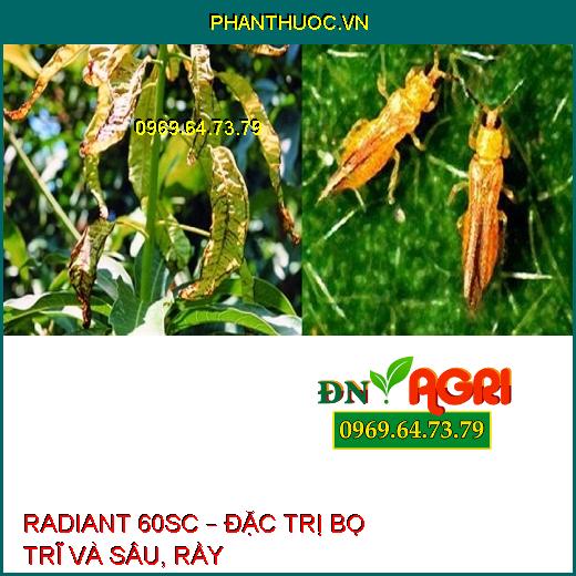 THUỐC TRỪ SÂU SINH HỌC RADIANT 60SC – Đặc Trị Bọ Trĩ Và Sâu, Rầy Khó Trị Trên Cây Trồng