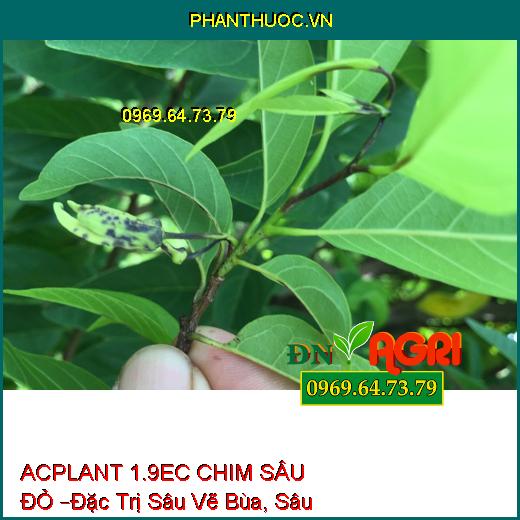 THUỐC TRỪ SÂU ACPLANT 1.9EC CHIM SÂU ĐỎ –Đặc Trị Sâu Vẽ Bùa, Sâu Phao Đục Bẹ