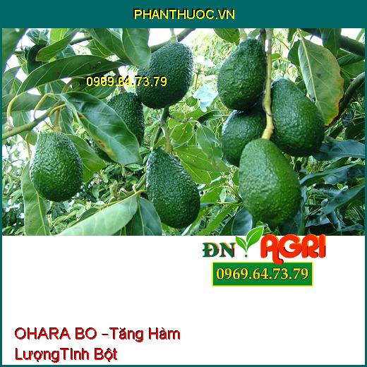 PHÂN BÓN VI LƯỢNG OHARA BO –Chống Khô Đen Bông Trái, Tăng Hàm Lượng Tinh Bột