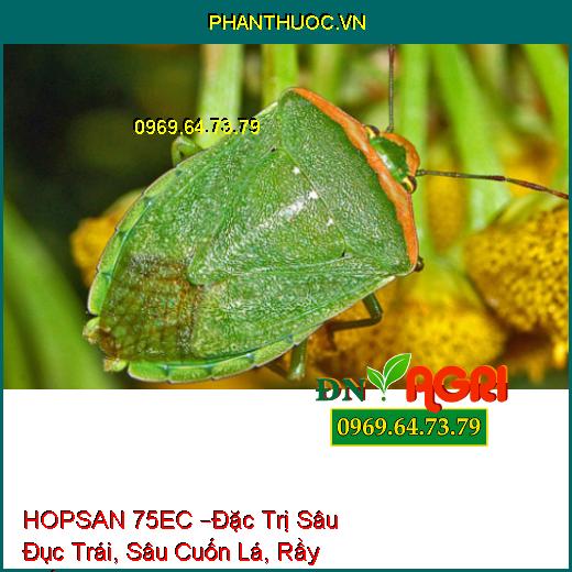 THUỐC TRỪ SÂU HOPSAN 75EC –Đặc Trị Sâu Đục Trái Hại Bắp, Sâu Cuốn Lá, Rầy Trắng