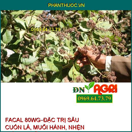 THUỐC TRỪ SÂU FACAL 80WG – Đặc Trị Sâu Cuốn Lá, Muỗi Hành, Nhện Gié, Bọ Trĩ Trên Lúa, Nhện Đỏ Trên Chè, Bọ Xít Muỗi Hại Điều, Rệp Sáp Hại Cà Phê