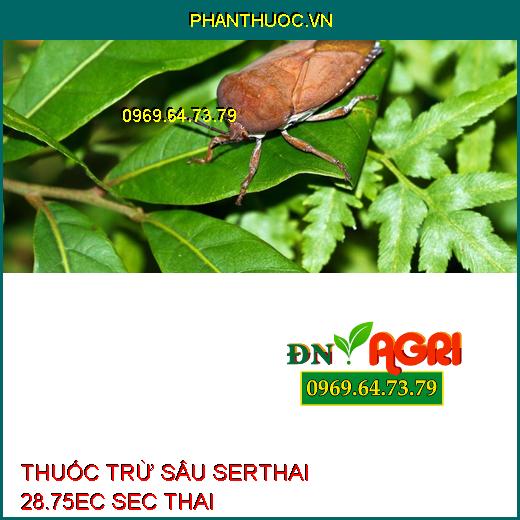 THUỐC TRỪ SÂU SERTHAI 28.75EC SEC THAI – Đặc Trị Rệp Sáp, Tuyến Trùng, Mọt Đục Cành, Đục Quả