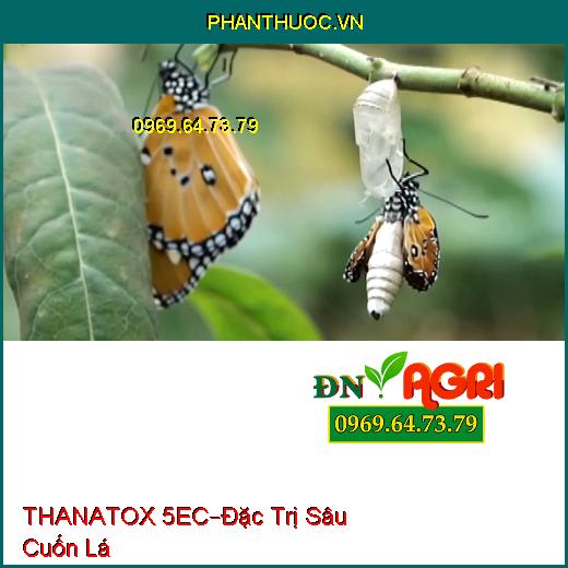 THUỐC TRỪ SÂU THANATOX 5EC – Đặc Trị Sâu Cuốn Lá Trên Lúa, Diệt Cả Trứng Và Ấu Trùng