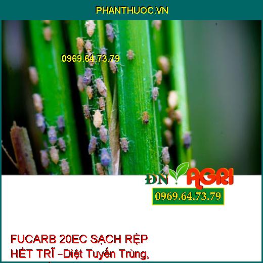 THUỐC TRỪ SÂU FUCARB 20EC SẠCH RỆP HẾT TRĨ –Diệt Tuyến Trùng, Sùng Đất, Rầy Nâu