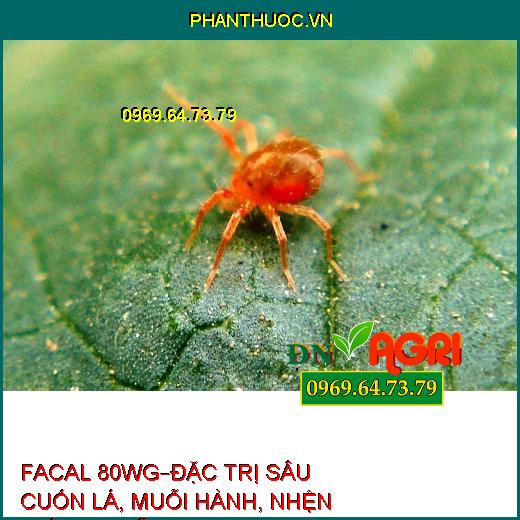 THUỐC TRỪ SÂU FACAL 80WG – Đặc Trị Sâu Cuốn Lá, Muỗi Hành, Nhện Gié, Bọ Trĩ Trên Lúa, Nhện Đỏ Trên Chè, Bọ Xít Muỗi Hại Điều, Rệp Sáp Hại Cà Phê