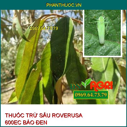 THUỐC TRỪ SÂU ROVERUSA 600EC BÁO ĐEN – Đặc Trị Tuyến Trùng, Rệp Sáp, Rầy Xanh, Bọ Trĩ