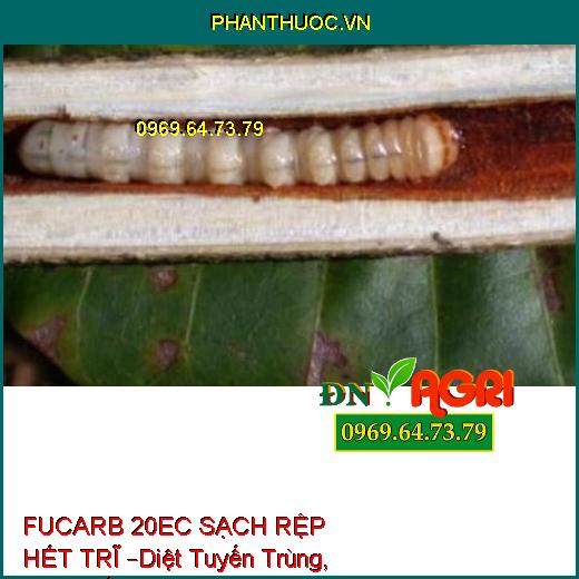 THUỐC TRỪ SÂU FUCARB 20EC SẠCH RỆP HẾT TRĨ –Diệt Tuyến Trùng, Sùng Đất, Rầy Nâu