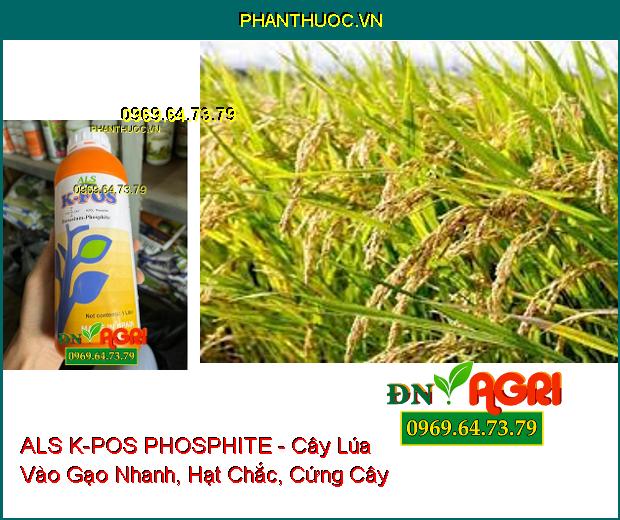 ALS K-POS PHOSPHITE -Vào Gạo Nhanh, Ngọt Trái, Tăng Năng Suất, Diệt Nấm Bệnh