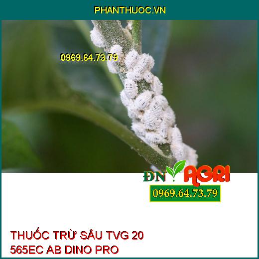 THUỐC TRỪ SÂU TVG 20 565EC AB DINO PRO- Đặc Trị Rệp Sáp, Phòng Trừ Sâu Ruồi Rầy