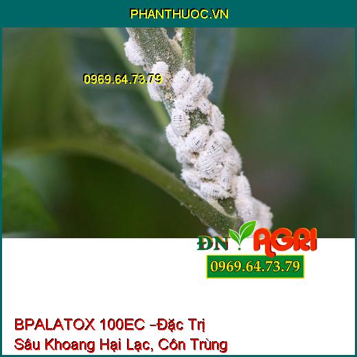 THUỐC TRỪ SÂU BPALATOX 100EC –Đặc Trị Sâu Khoang Hại Lạc, Côn Trùng Chích Hút